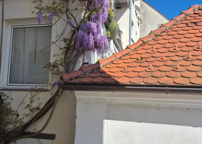 Einfach & Historisch Shared Areas منزل للإقامة ستير